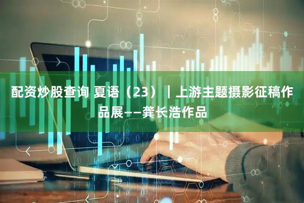 配资炒股查询 夏语（23）｜上游主题摄影征稿作品展——龚长浩作品