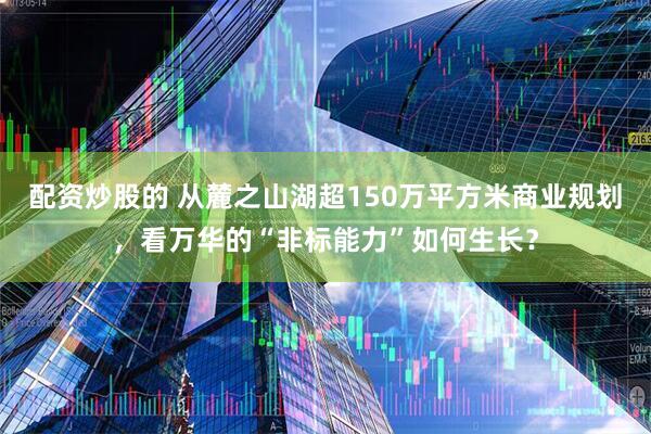 配资炒股的 从麓之山湖超150万平方米商业规划，看万华的“非标能力”如何生长？